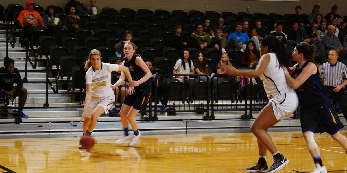 Knights Dismounted by Northeastern
