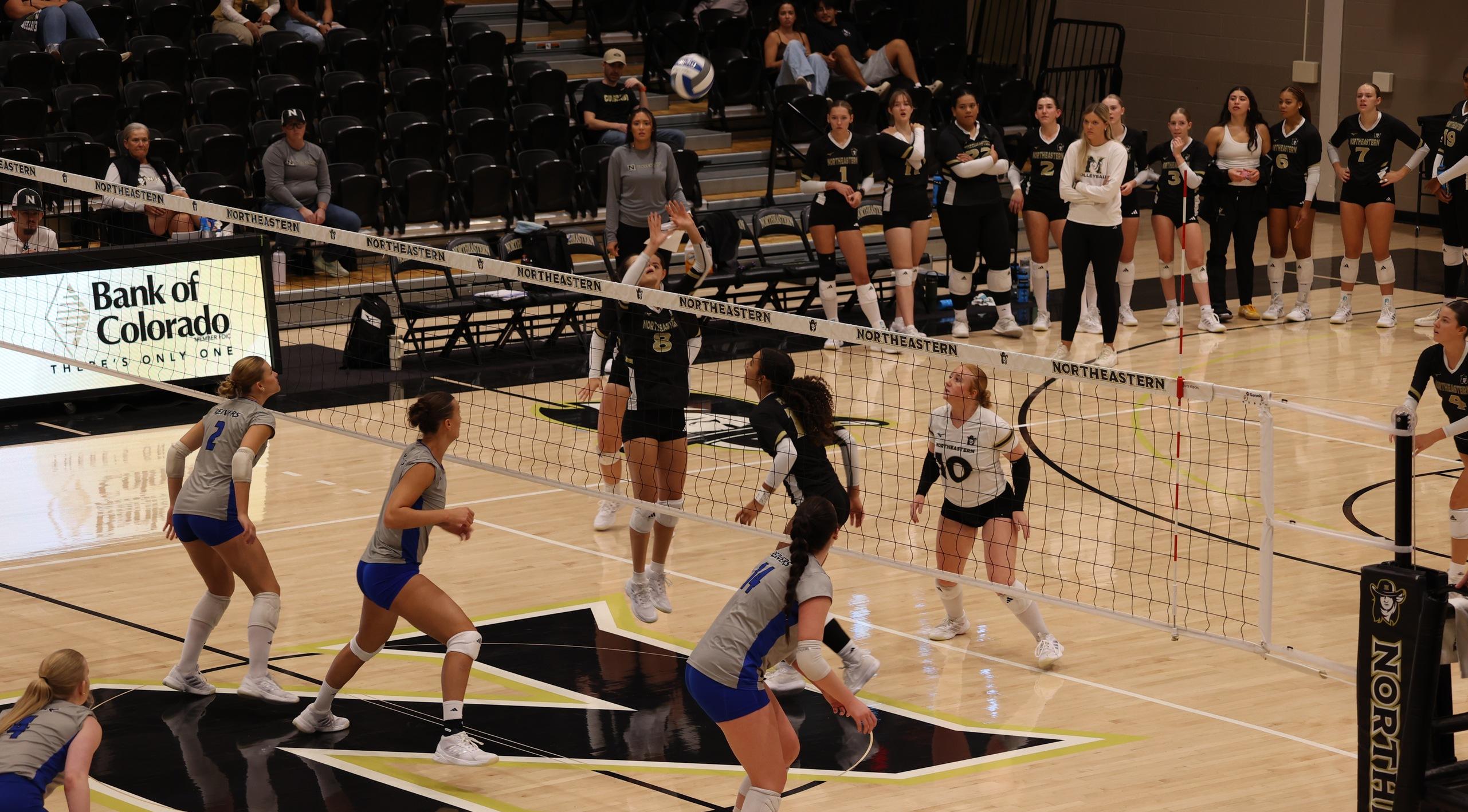 #5 Northeastern Volleyball Takes Down #18 Iowa Western in 4 Sets